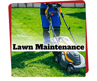 Lawn Mowing