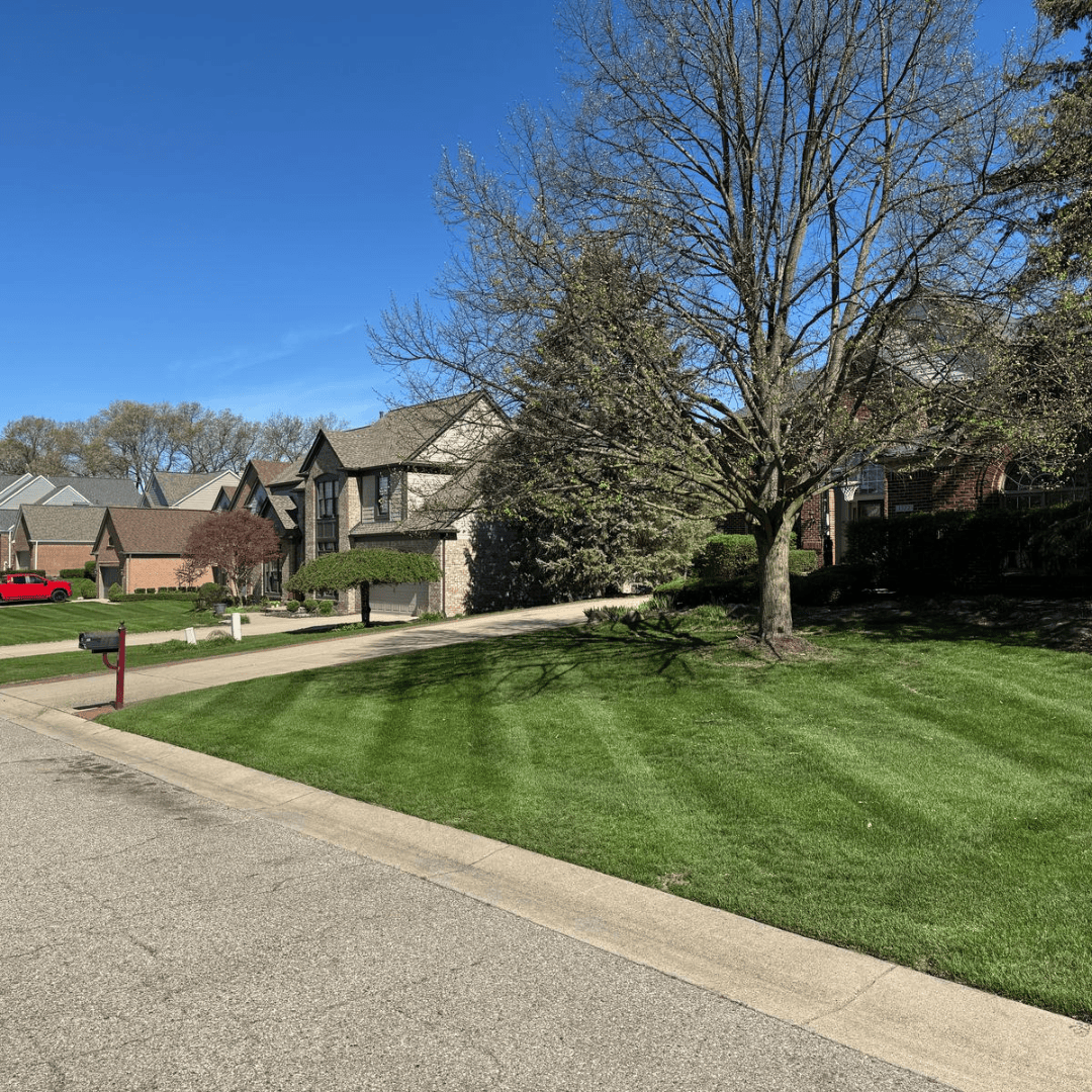 Lawn Aeration Michigan
