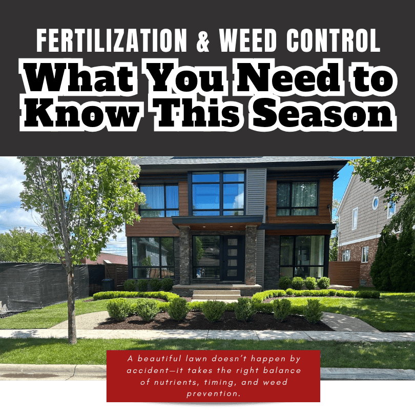 Dreaming of that perfect lawn? Start with the basics!