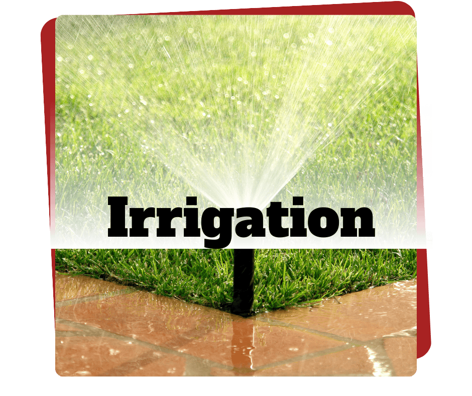 irrigation