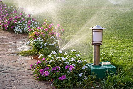 irrigation