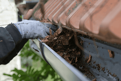 gutter cleaning