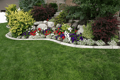 landscaping
