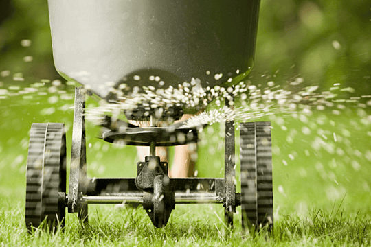 fertilization